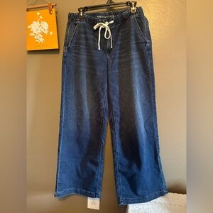 American Eagle Outfitters Blue Denim Pants